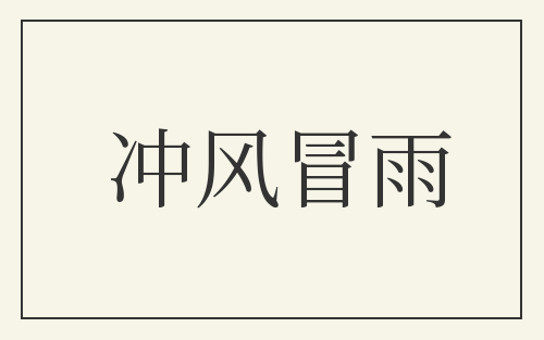 冲风冒雨