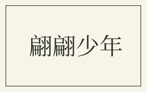 翩翩少年