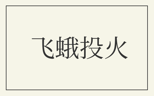 飞蛾投火