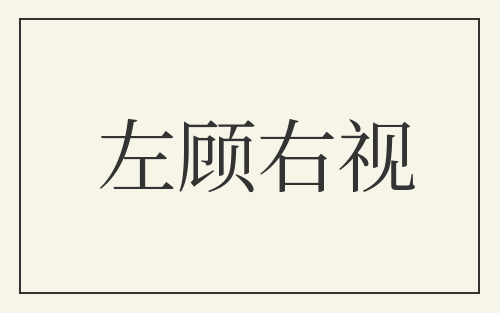 左顾右视