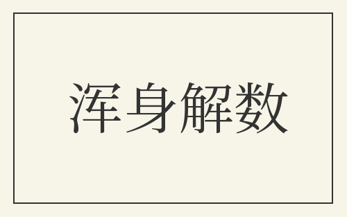 浑身解数
