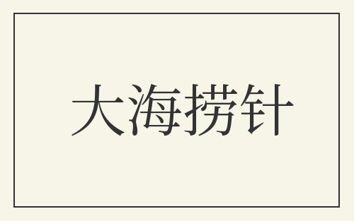 大海捞针