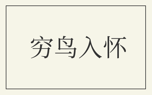 穷鸟入怀