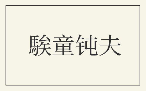 騃童钝夫