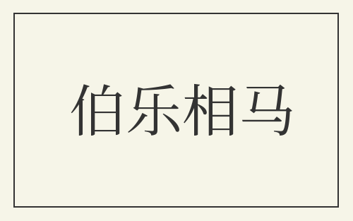 伯乐相马