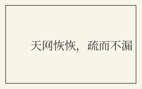 天网恢恢,疏而不漏