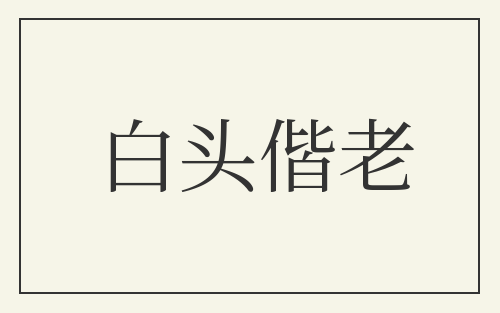 白头偕老