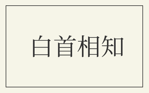 白首相知