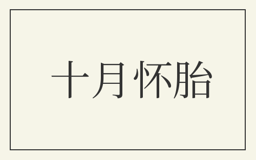 十月怀胎