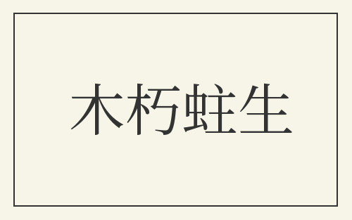 木朽蛀生