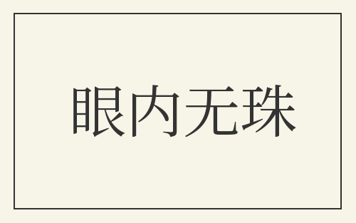 眼内无珠