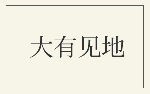 大有见地