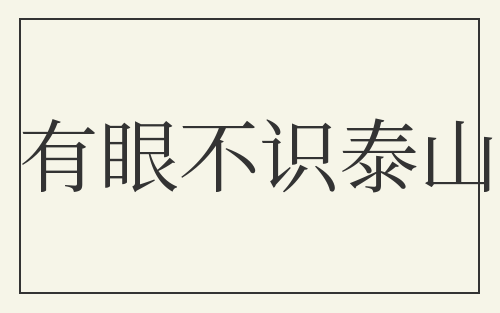 有眼不识泰山