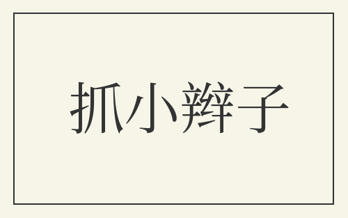 抓小辫子