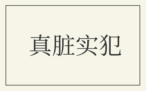 真脏实犯
