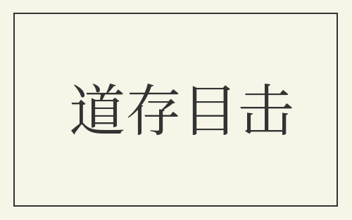道存目击
