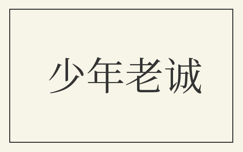 少年老诚