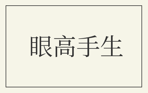 眼高手生