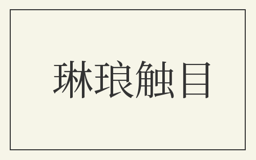琳琅触目