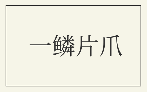一鳞片爪