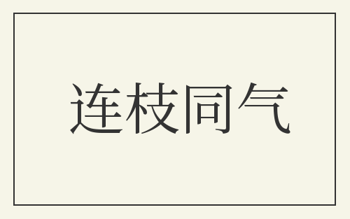 连枝同气