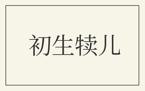 初生犊儿