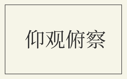 仰观俯察