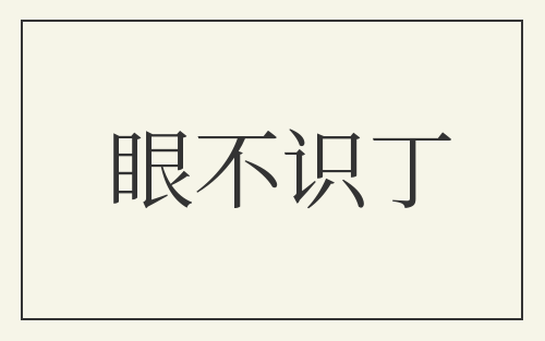眼不识丁