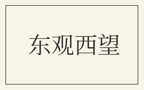 东观西望