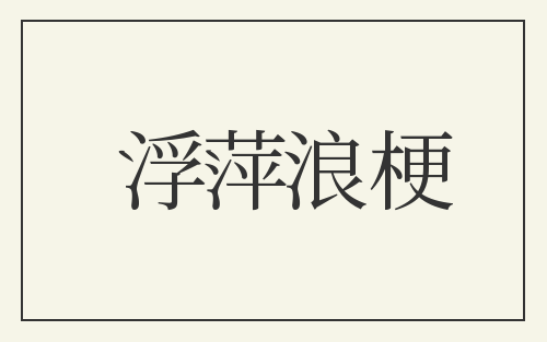 浮萍浪梗