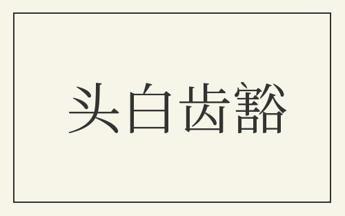 头白齿豁
