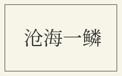 沧海一鳞