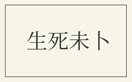 生死未卜