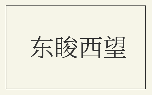 东睃西望