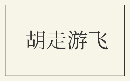胡走游飞