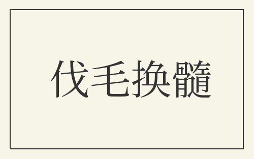 伐毛换髓