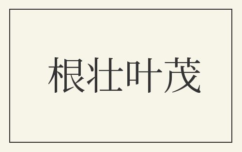 根壮叶茂