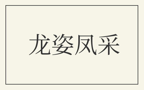 龙姿凤采