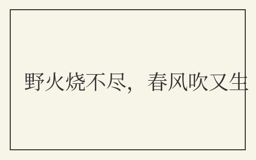 野火烧不尽，春风吹又生