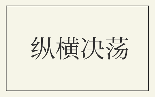 纵横决荡