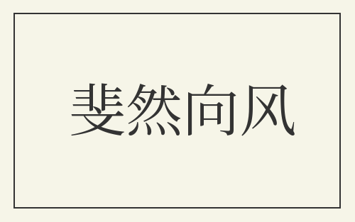 斐然向风