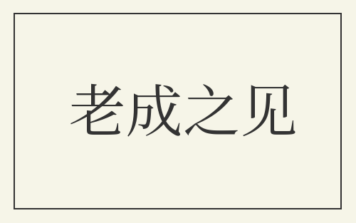 老成之见