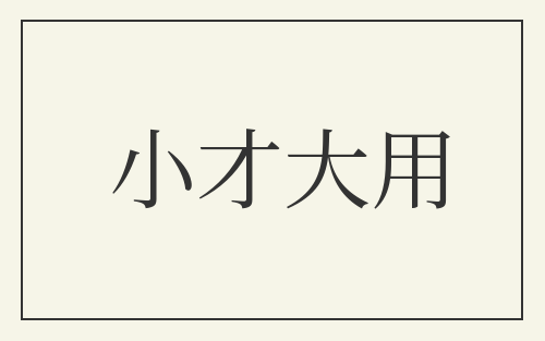 小才大用