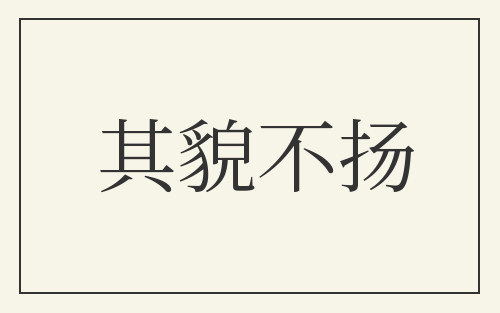 其貌不扬