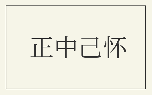 正中己怀