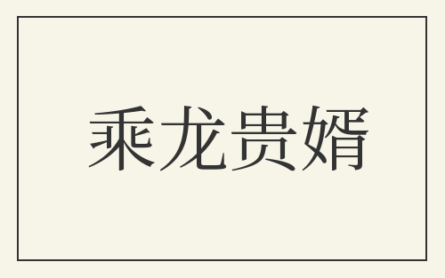 乘龙贵婿