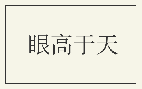 眼高于天