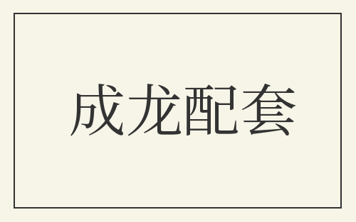 成龙配套