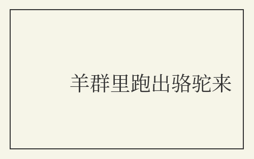 羊群里跑出骆驼来