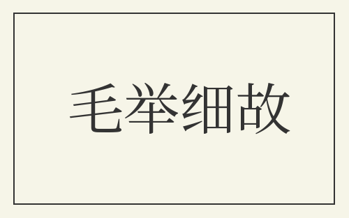 毛举细故
